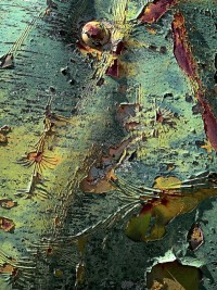 132-Charlie-Mansons-truck 132-Charlie-Mansons-truck