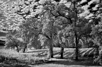 186 A drive on Eastside Road 186 A drive on Eastside Road