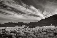 202 Cabin Alone 202 Cabin Alone