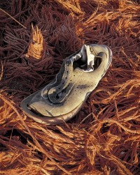 42-Old-Shoe- 42-Old-Shoe-