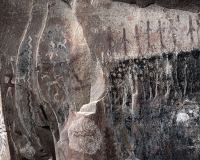 76-Harvest-scene 76-Harvest-scene