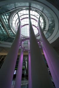 DSC7386-copy DSC7386-copy