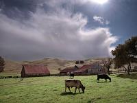 RoblerRd_GFX9011 RoblerRd_GFX9011