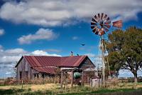 buzzards_DSC8121 buzzards_DSC8121