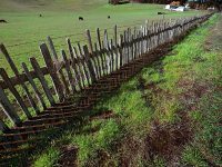 fence_chilenoVally_GFX0073_ss fence_chilenoVally_GFX0073_ss