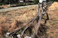 brokenFence_quinalt_R4_1045