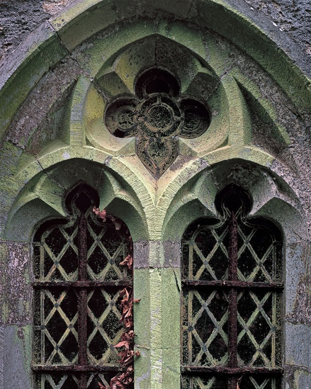 Ancient window at the St David's Cathedral has moss and creeping ivy on its outside but stained glass glory from within.  St David's, Wales, UK.