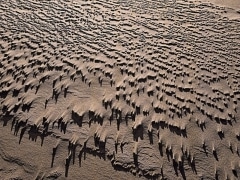 Rain and high winds lashed the sand at the Guadalupe-Nipomo Dunes Co Park, CA.  In a few moments, the moisture left and the sculptures crumbled leaving a wash of smooth sand.