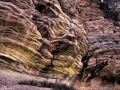 As I slid near to the edge of the top of a deep slit canyon in Zion National Park, this scene has special significance since it would have been the last thing that I would have seen in this life.  Zion National Park, UT.