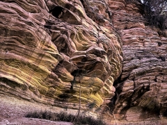 As I slid near to the edge of the top of a deep slit canyon in Zion National Park, this scene has special significance since it would have been the last thing that I would have seen in this life.  Zion National Park, UT.