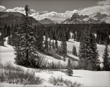 Clearing storm after snowfall.  Cedar Breaks National Monument on the high plateau above Cedar City, UT.