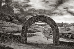 The La Petite Clos winery is located near the Châteaux de la Loire in France but this stone arch and fence is amongst the vines at Pine Ridge Vinyard north of Napa, CA.  The area was fenced off by the owner but the beautiful stone arch allows access to the little enclosure or " La Petite Clos".  Without the archway, one must hop the wall!  Infrared.