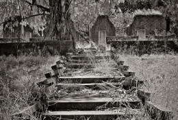 Abandoned for years, the cabin walls have all but fallen.  Pathways are overgrown and neglected.  The stories this place could tell!  The original farmhouse on the Lucas & Lewellen Vineyards near Sisquoc, CA, on Foxen Canyon road.