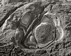 A swirl of stone on the shore resembles a distant galaxy or a piece of confectionary. This odd round lump (or hole) in the rock is a concretion or nodule, a features common to many sandy or muddy sedimentary rocks.  Point Lobos, south of Carmel, CA.