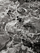 Winter produces spectacles.  This one is a little spring running across the road crystallized into a beautiful abstraction.  It was slippery, too! Death Valley National Park on Wildrose road.