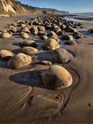 Looking south at a very low tide exposes the beach which looks as though it’s been scattered with oversized bowling balls.  These boulders have caused wild speculation wherever they’ve been discovered, with answers from aliens to dinosaur’s eggs. Bowling Ball Beach at Pt Arena, CA.
