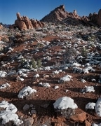 Sometimes snow doesn't last long on warm ground.  This remaining snow on sagebrush and cedar is the icing on a red landscape of rock and sand.  Capitol Reef National Park, UT.