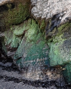 The great Pacific ocean has carved this cave out of the shoreline. Life has taken up residence in this turbulent place, located in Montana De Oro State Park near Morro Bay, CA.