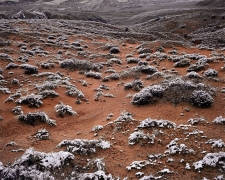 Sometimes snow doesn't last long on warm ground.  This remaining snow on sagebrush and cedar is the icing on a red landscape of rock and sand.  Capitol Reef National Park.