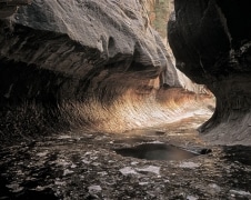 Known as the "Subway", the inner glow accentuates the profile made by erosion through this soft layer of rock.  Taken in Left Fork of North Creek in Zion National Park, UT.
