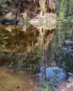 The river flows between massive canyon walls making confusing reflections of trees and sky blend with the colorful river bottom.  West Fork of Oak Creek near Sedona, AZ, in the Coconino National Forest.