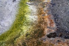 Passing this flow out of the geyser you can't help but notice that these are the exact colors of the Irish national flag and about in the right size.  Yellowstone National Park, WY.