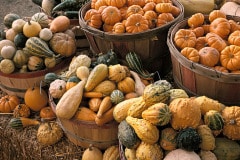 Gourds and other bounty fill baskets at a Colorado fruit stand just at sunset.