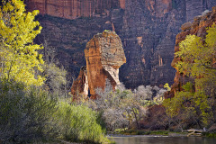 Rock formations known as the pulpit and lectern tower above the Virgin River in fall splendor.  Zion National Park, UT.