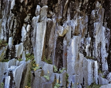 Spring flowers decorate the vertical walls of columnar basalt at Devil's Postpile National Monument, CA.  Deep shade enhances the blues of this special place.