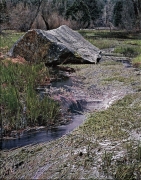 Mirror Lake becomes Mirror Meadow. The rains fall as I wade midstream into this flow coming from the Lake/Meadow, Yosemite National Park, CA.  The raindrops collect on the swaying plants.