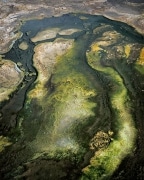 Heat loving bacteria called Thermophiles grow in one of Yellowstone's geothermal features.  This formation evokes a character in someone's alphabet.