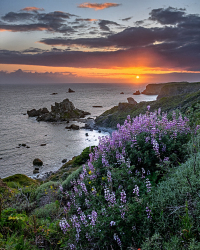 JennerSunset_R4_2725-fb__IG