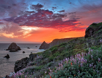 JennerSunset_R4_3010 1_2560_