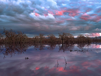 LagunaAfterSunset_GFX1087 copy_2560_