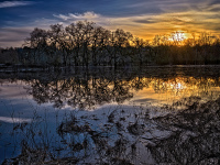 sunsetLaguna__DSF1058