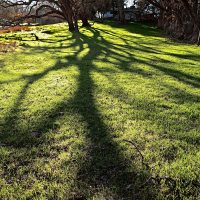 valpoFieldShadows_DSF1065_sq valpoFieldShadows_DSF1065_sq