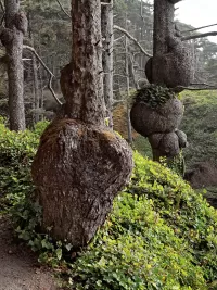 1_burTrail_beach1_R4_1102_ss_1500x2000_H_20_G2_LessQualityWGrain