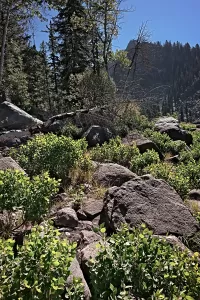 LouieLake_McCall_R4_0980_1200x1800_H_20_G2_LessQualityWGrain