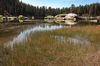 LouieLk_McCall_R4_0994_2000x1333_H_20_G2_LessQualityWGrain