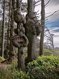 burlTrail_Beach1_R4_1104_ss_1500x2000_H_20_G2_LessQualityWGrain