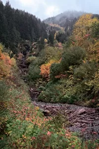 hillside_DSC7835_1334x2000_H_20_G2_LessQualityWGrain