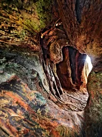 holeInTree_R4_1325_1500x2000_H_20_G2_LessQualityWGrain