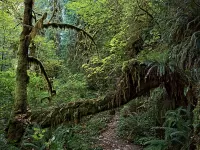 quinalt_R4_1034_1800x1350_H_20_G2_LessQualityWGrain