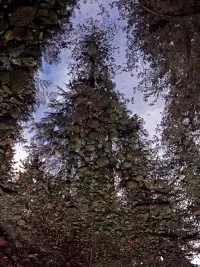 reflection_deceptionCreek_R4_1623_ss_1500x2000_H_20_G2_LessQualityWGrain