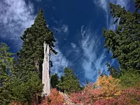 mtBakerClouds_R4_1571_1920x1440_U_20_Long-Edge
