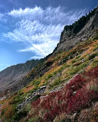 mtBaker_R4_1574_1544x1920_U_20_Long-Edge