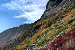 mtBaker_R4_1574_1544x1920_U_20_Long-Edge