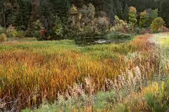 pond_Leavenworth_DSC7867_1920x1281_U_20_Long-Edge