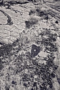 mokiMarbles_VIR7192_ss-copy