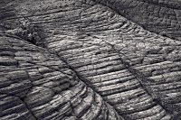 snowCynDunes_VIR7199